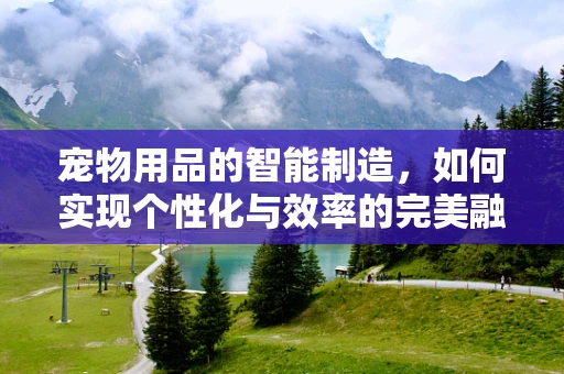 宠物用品的智能制造，如何实现个性化与效率的完美融合？