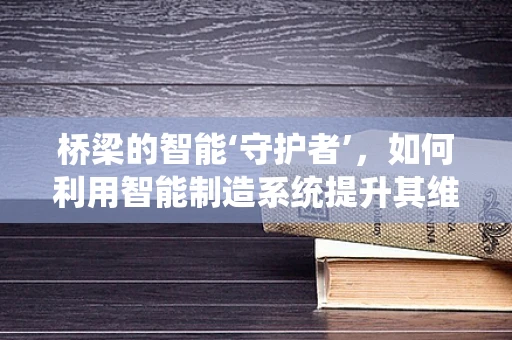 桥梁的智能‘守护者’，如何利用智能制造系统提升其维护效率？