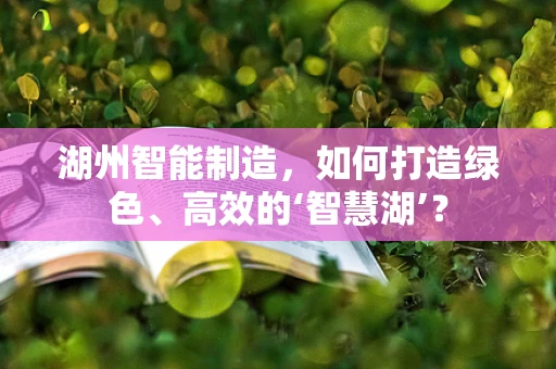 湖州智能制造，如何打造绿色、高效的‘智慧湖’？
