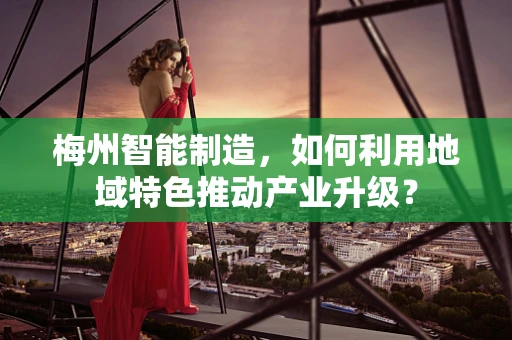 梅州智能制造，如何利用地域特色推动产业升级？