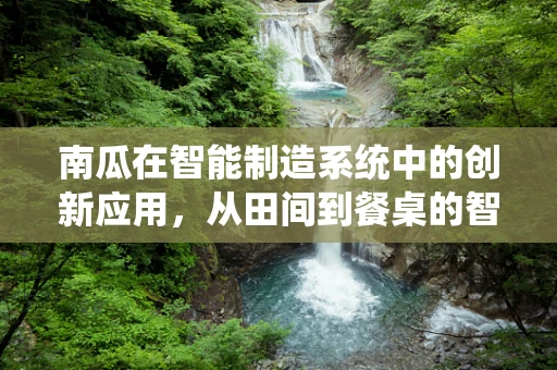 南瓜在智能制造系统中的创新应用，从田间到餐桌的智能之旅？