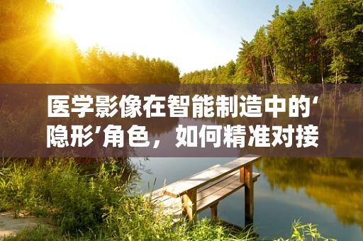 医学影像在智能制造中的‘隐形’角色，如何精准对接医疗需求？