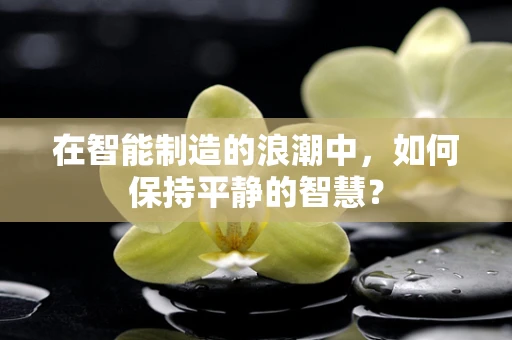 在智能制造的浪潮中，如何保持平静的智慧？