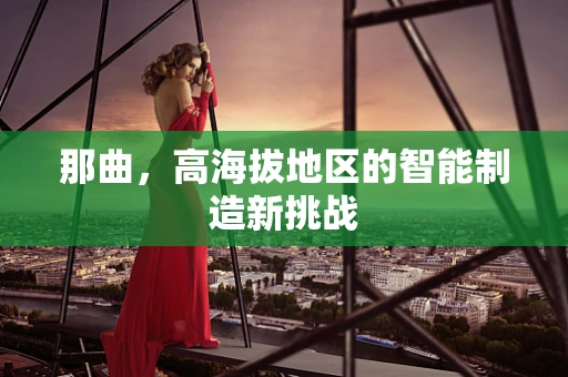 那曲，高海拔地区的智能制造新挑战