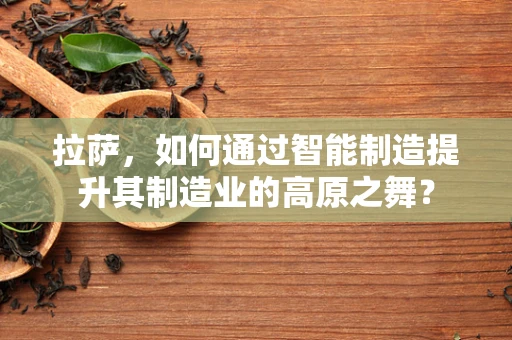 拉萨，如何通过智能制造提升其制造业的高原之舞？