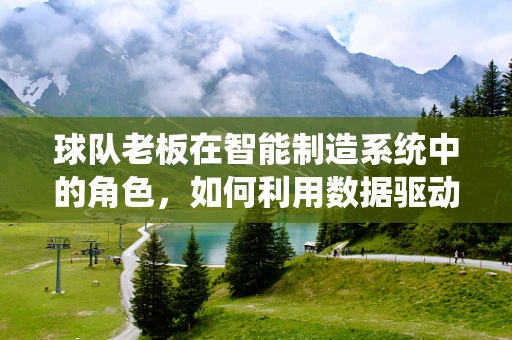 球队老板在智能制造系统中的角色，如何利用数据驱动决策？