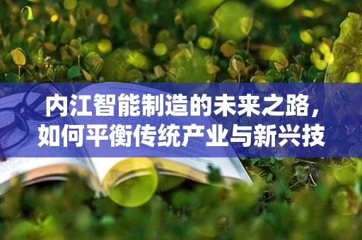 内江智能制造的未来之路，如何平衡传统产业与新兴技术的融合？