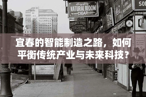 宜春的智能制造之路，如何平衡传统产业与未来科技？
