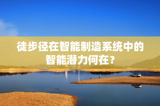 徒步径在智能制造系统中的智能潜力何在？