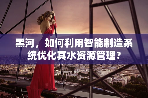 黑河，如何利用智能制造系统优化其水资源管理？
