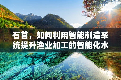 石首，如何利用智能制造系统提升渔业加工的智能化水平？