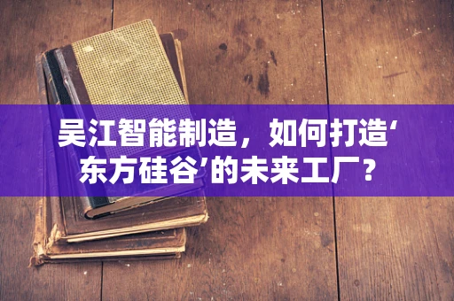 吴江智能制造，如何打造‘东方硅谷’的未来工厂？