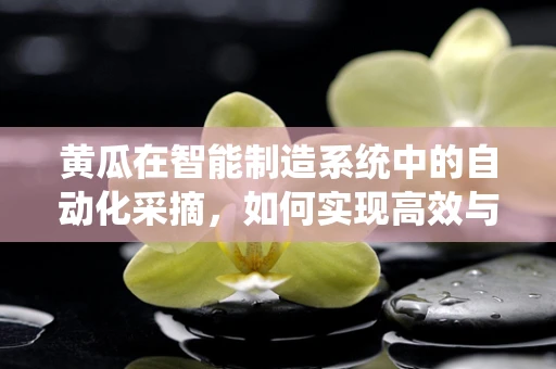 黄瓜在智能制造系统中的自动化采摘，如何实现高效与精准？