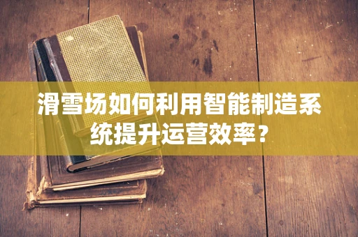 滑雪场如何利用智能制造系统提升运营效率？