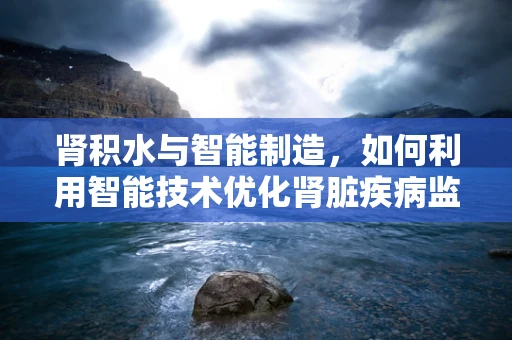 肾积水与智能制造，如何利用智能技术优化肾脏疾病监测与治疗？
