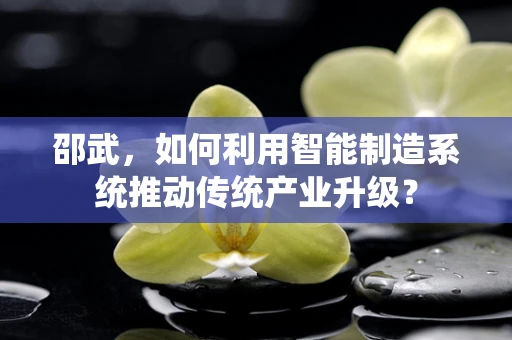 邵武，如何利用智能制造系统推动传统产业升级？