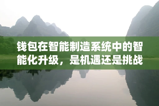 钱包在智能制造系统中的智能化升级，是机遇还是挑战？