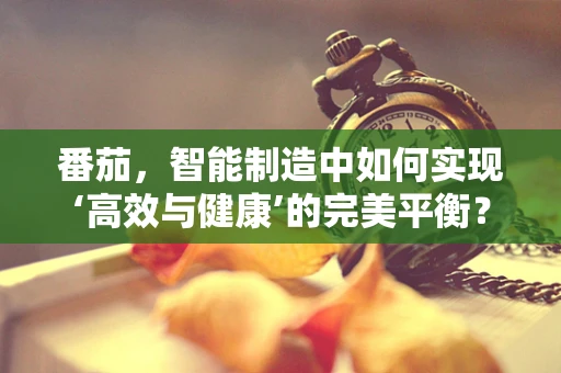 番茄，智能制造中如何实现‘高效与健康’的完美平衡？