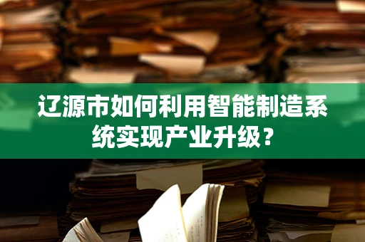 辽源市如何利用智能制造系统实现产业升级？