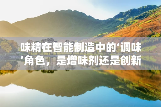 味精在智能制造中的‘调味’角色，是增味剂还是创新催化剂？