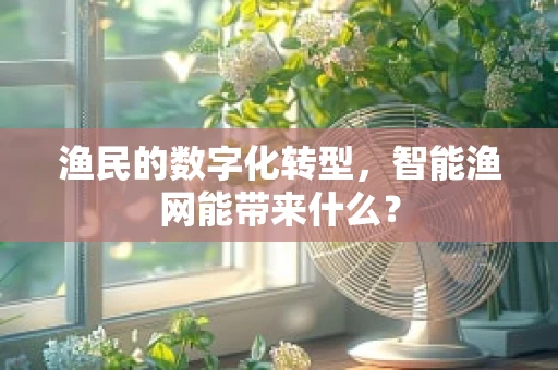 渔民的数字化转型，智能渔网能带来什么？