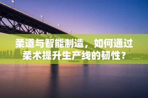 柔道与智能制造，如何通过柔术提升生产线的韧性？