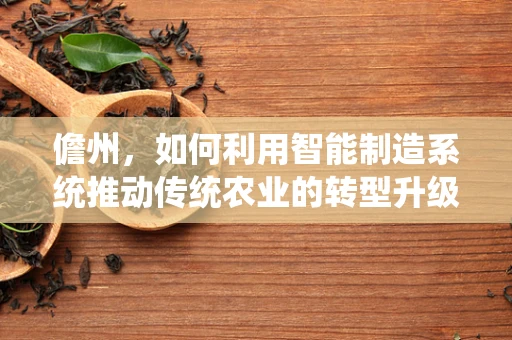 儋州，如何利用智能制造系统推动传统农业的转型升级？