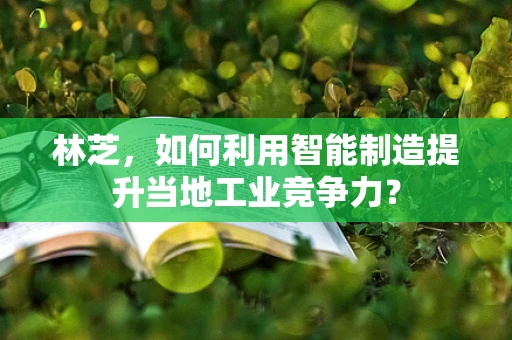 林芝，如何利用智能制造提升当地工业竞争力？