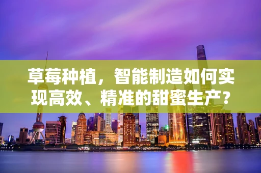 草莓种植，智能制造如何实现高效、精准的甜蜜生产？