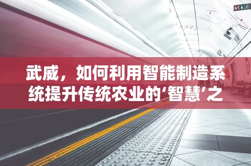 武威，如何利用智能制造系统提升传统农业的‘智慧’之路？
