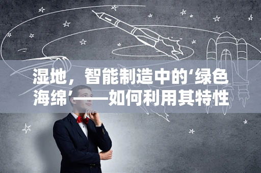 湿地，智能制造中的‘绿色海绵’——如何利用其特性促进可持续发展？