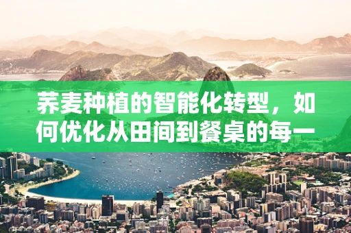 荞麦种植的智能化转型，如何优化从田间到餐桌的每一环节？