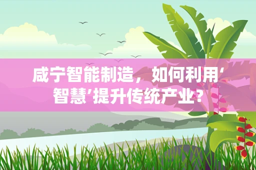 咸宁智能制造，如何利用‘智慧’提升传统产业？