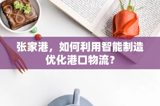 张家港，如何利用智能制造优化港口物流？