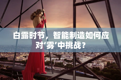白露时节，智能制造如何应对‘雾’中挑战？