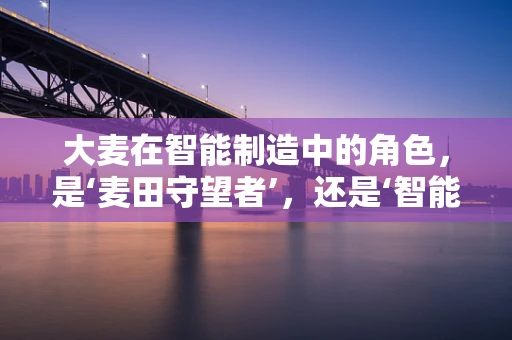 大麦在智能制造中的角色，是‘麦田守望者’，还是‘智能织机’的经纬线？