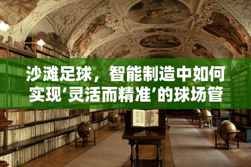 沙滩足球，智能制造中如何实现‘灵活而精准’的球场管理？