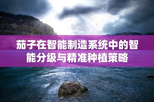 茄子在智能制造系统中的智能分级与精准种植策略