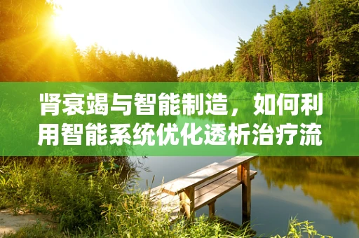 肾衰竭与智能制造，如何利用智能系统优化透析治疗流程？