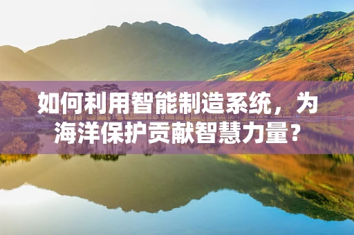 如何利用智能制造系统，为海洋保护贡献智慧力量？