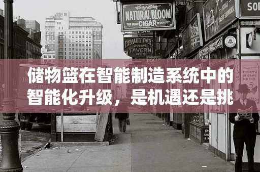 储物篮在智能制造系统中的智能化升级，是机遇还是挑战？