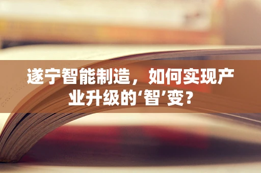 遂宁智能制造，如何实现产业升级的‘智’变？