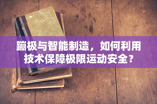 蹦极与智能制造，如何利用技术保障极限运动安全？