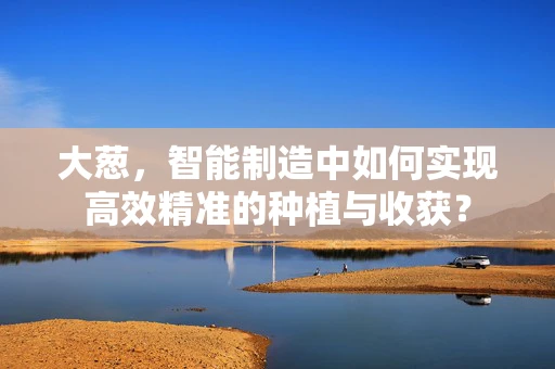大葱，智能制造中如何实现高效精准的种植与收获？