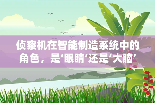侦察机在智能制造系统中的角色，是‘眼睛’还是‘大脑’的延伸？