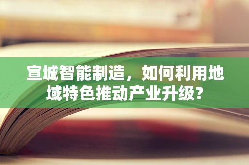 宣城智能制造，如何利用地域特色推动产业升级？
