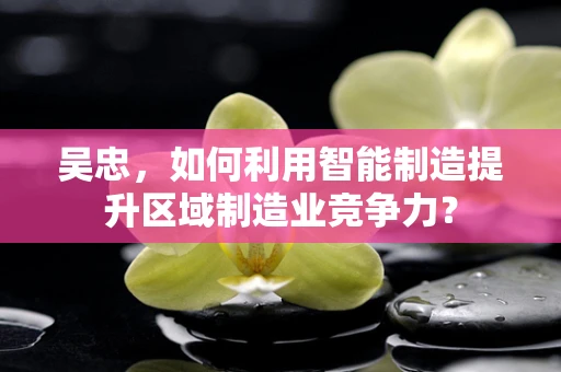 吴忠，如何利用智能制造提升区域制造业竞争力？
