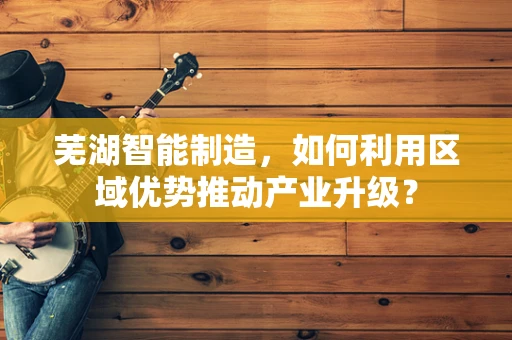 芜湖智能制造，如何利用区域优势推动产业升级？
