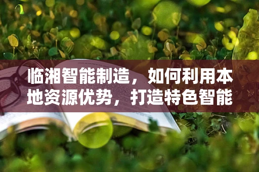 临湘智能制造，如何利用本地资源优势，打造特色智能产业链？