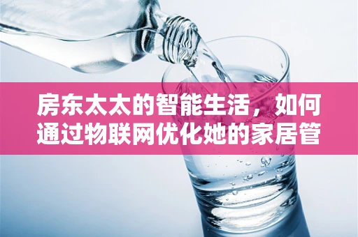 房东太太的智能生活，如何通过物联网优化她的家居管理？